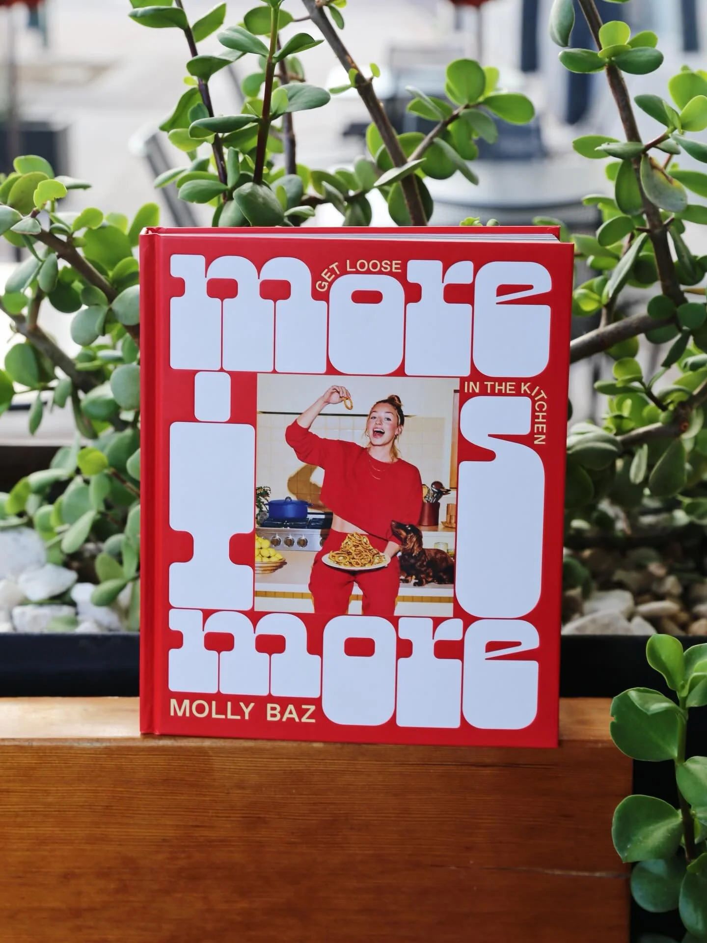 If there&rsquo;s two things we love it&rsquo;s retail therapy and a good cookbook! This delight from Molly Baz doesn&rsquo;t disappoint! Loaded with flavorful takes on classic dishes and gorgeous images, it&rsquo;s one of our favorites. Pick up a cop