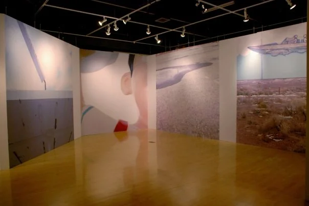 mfa thesis installation : 2009