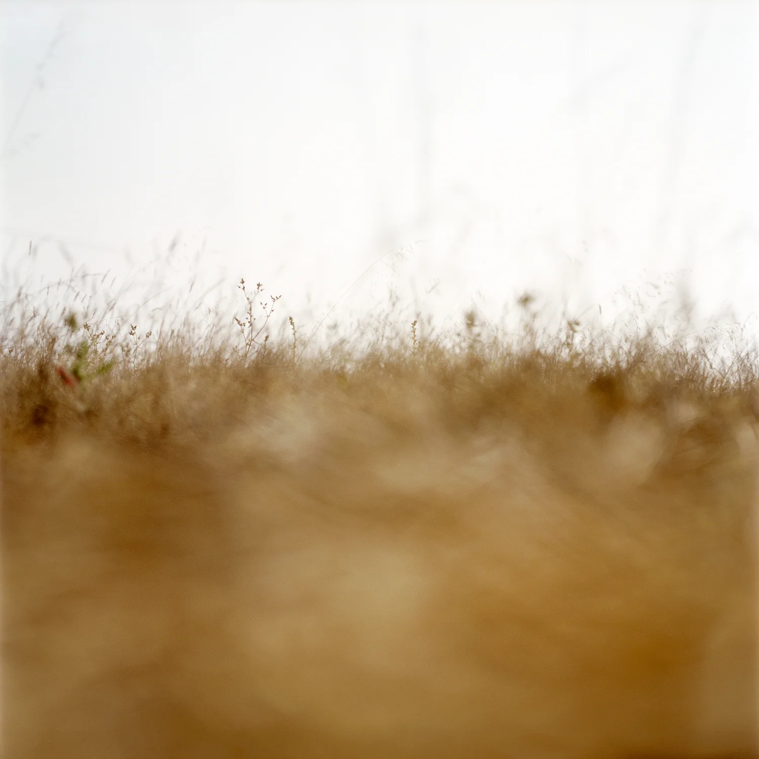 the house that no longer stands : 2008