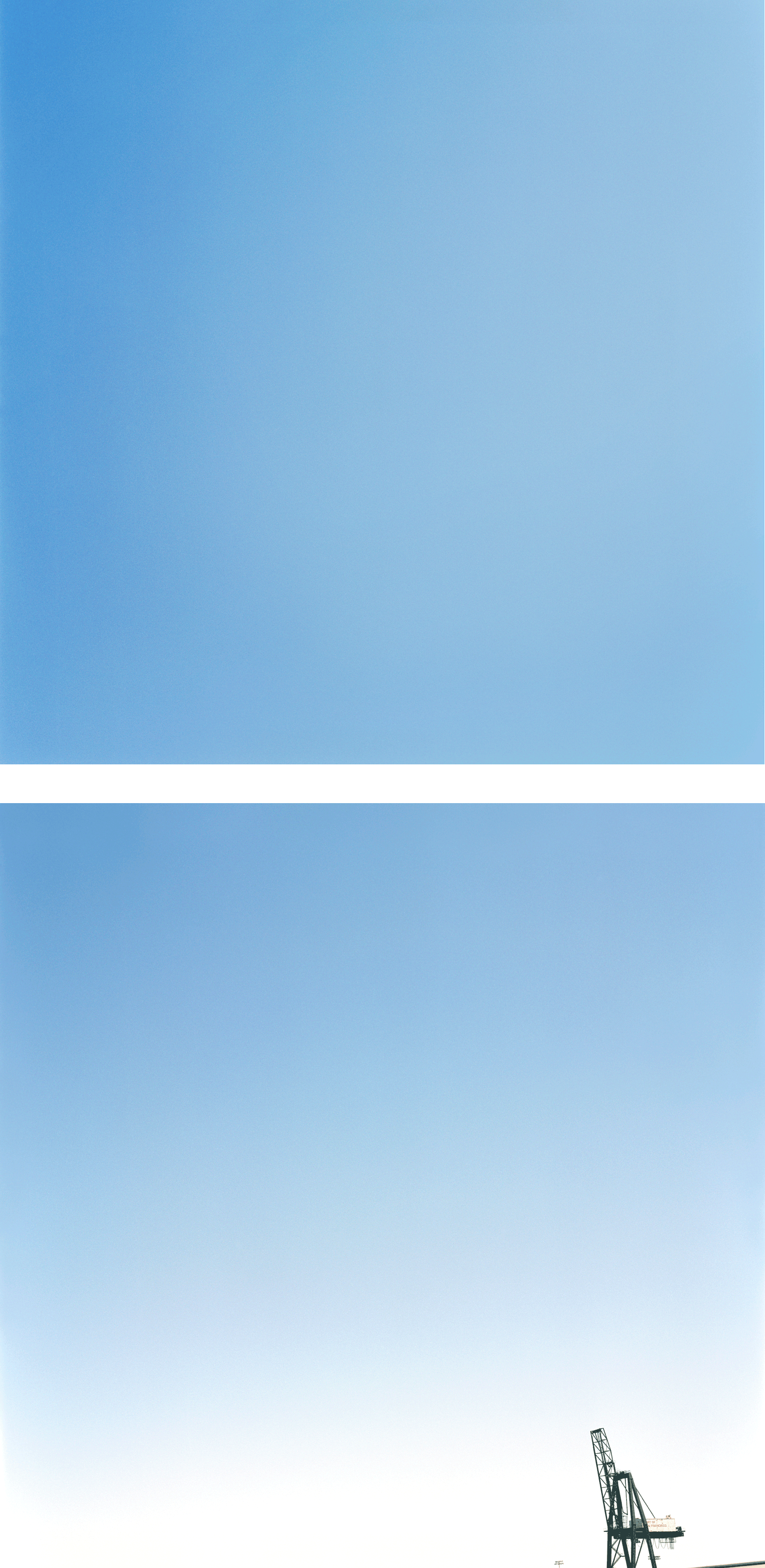 crane : 2008