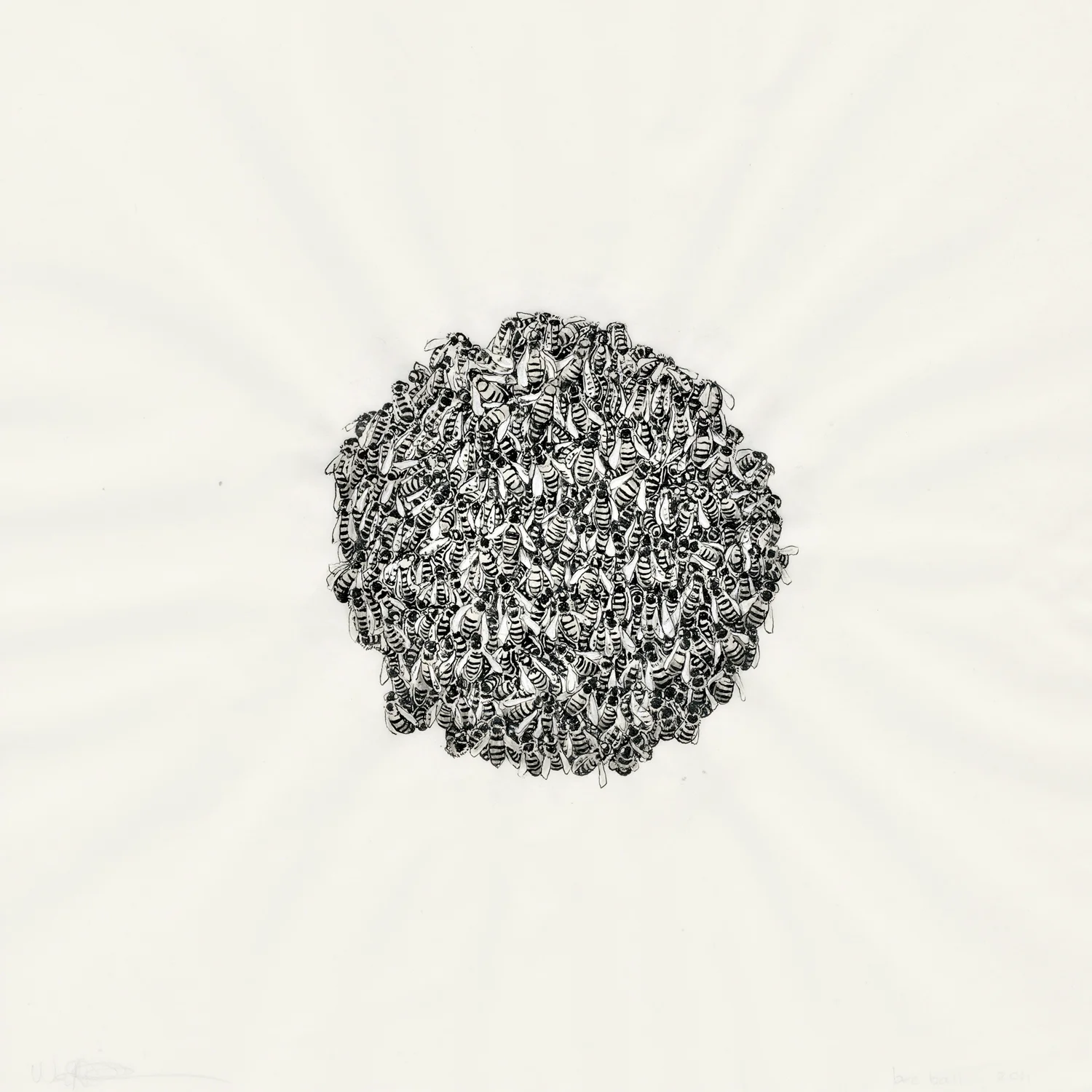 bee ball : 2011