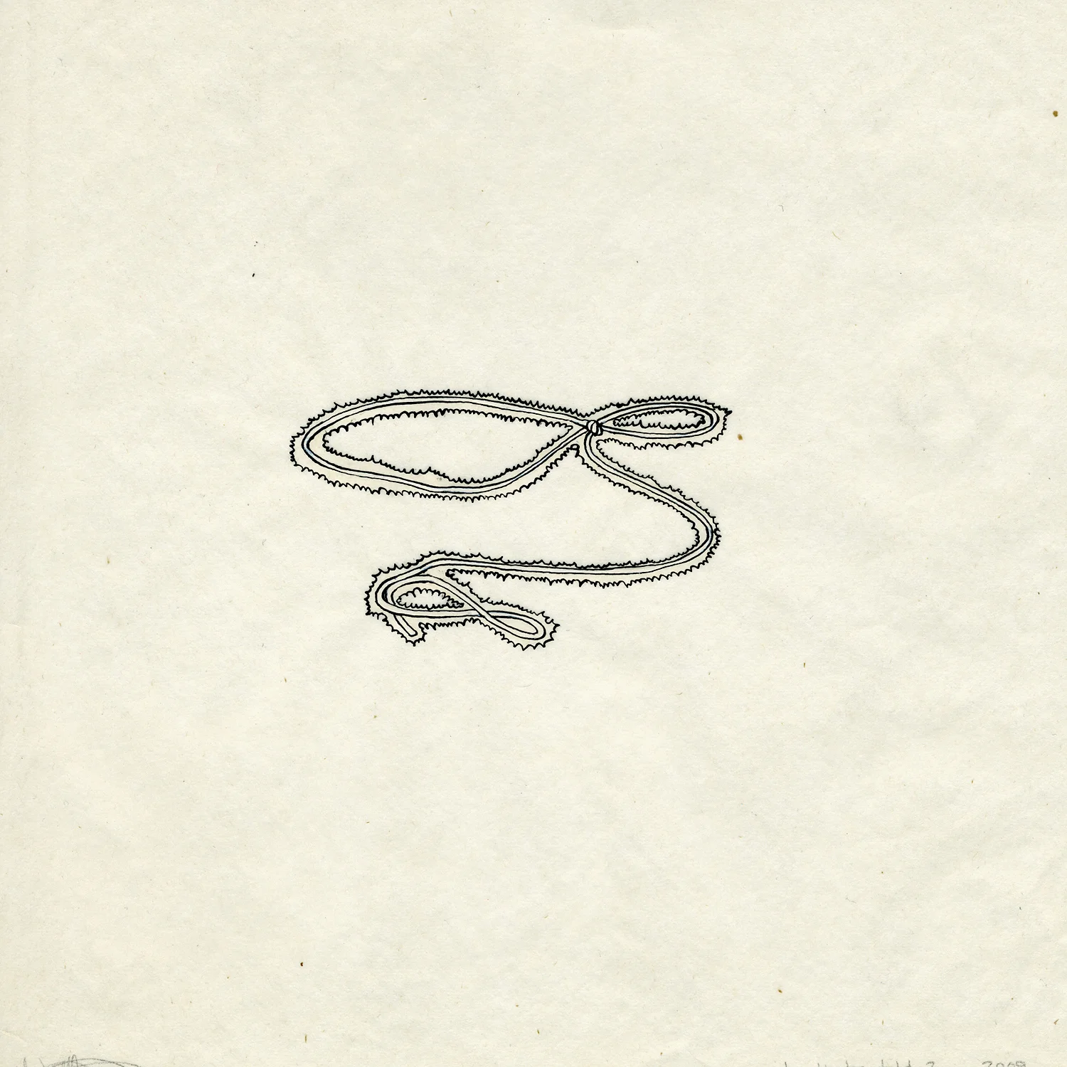 lasso of truth 2 : 2009
