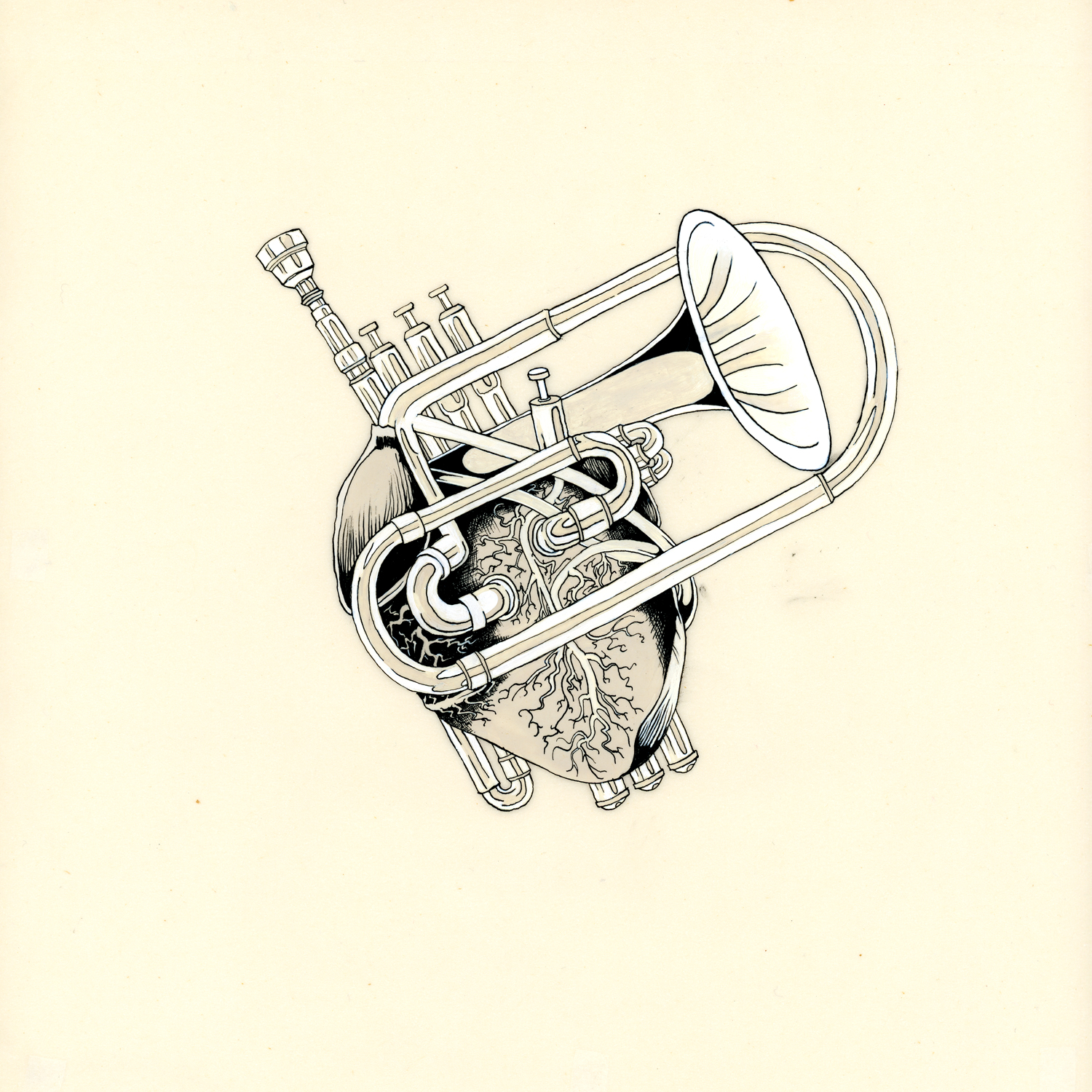 heart valve : 2015