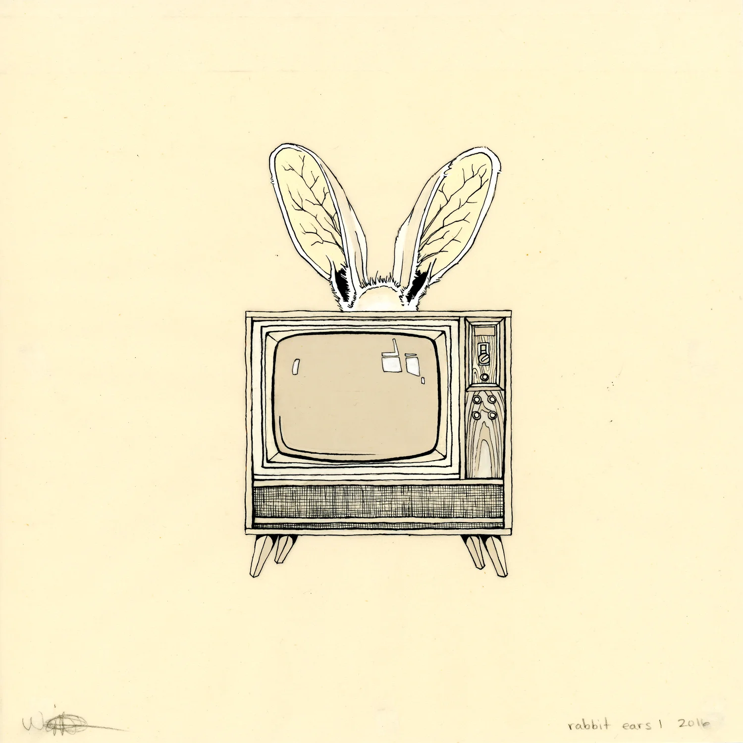 rabbit ears 1 : 2016