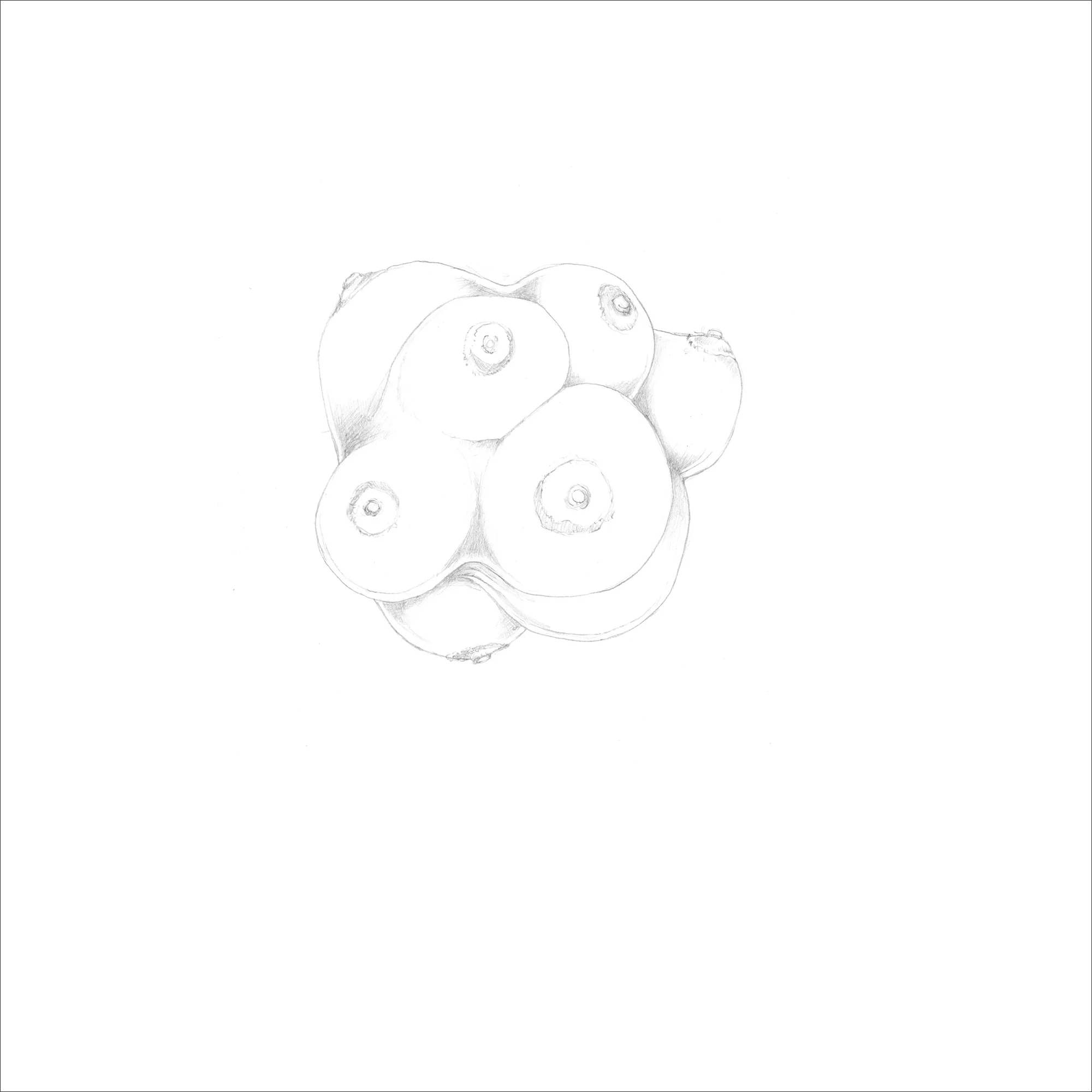boob ball : 2018