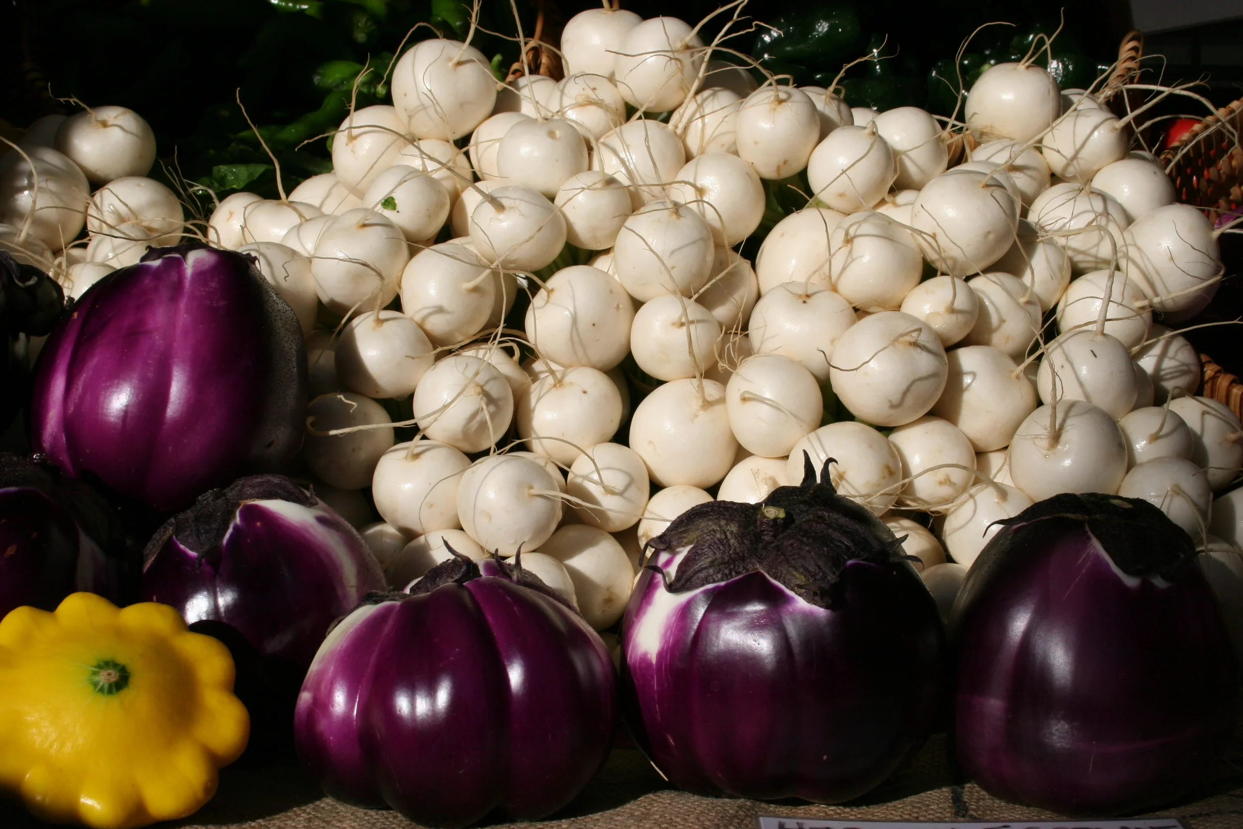 96-IMG_1595 copy.JPG