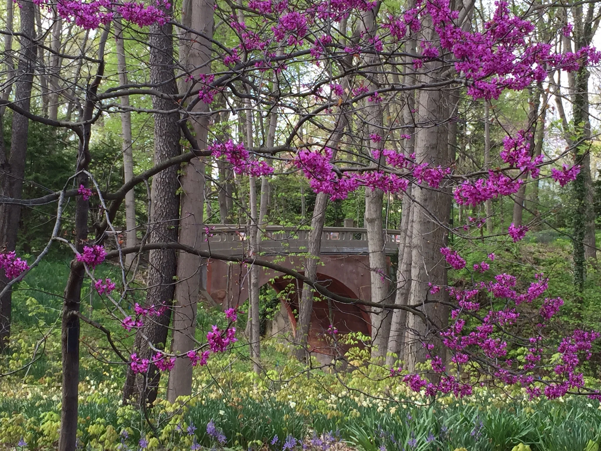Oldfields Gardens, Indianapolis