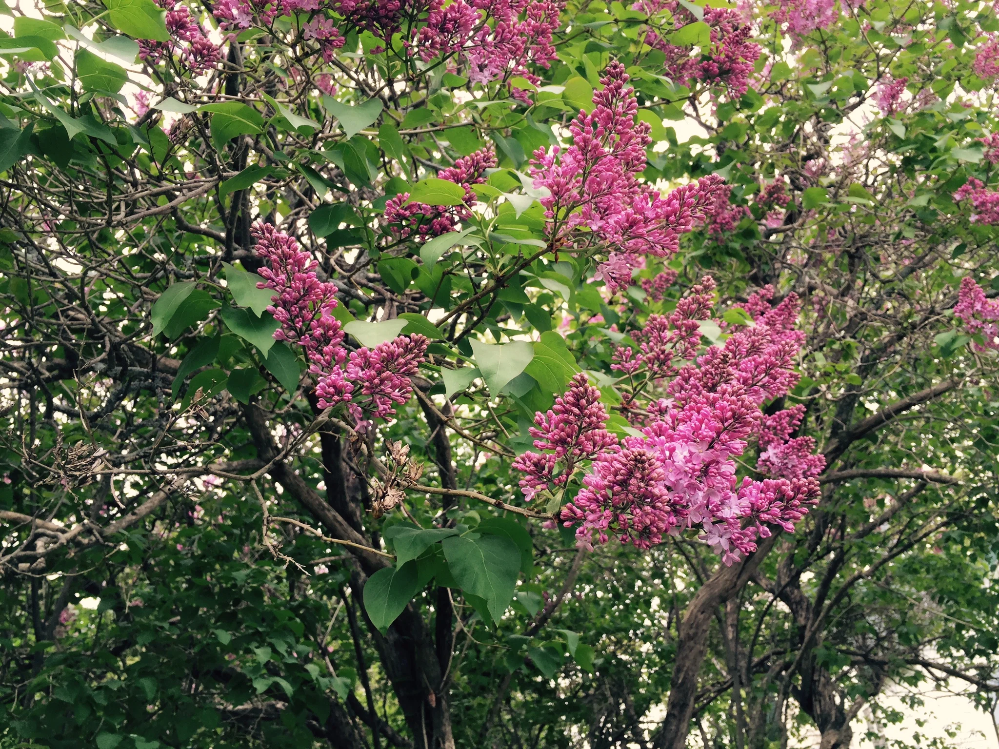 ... A Community ... an Island Community