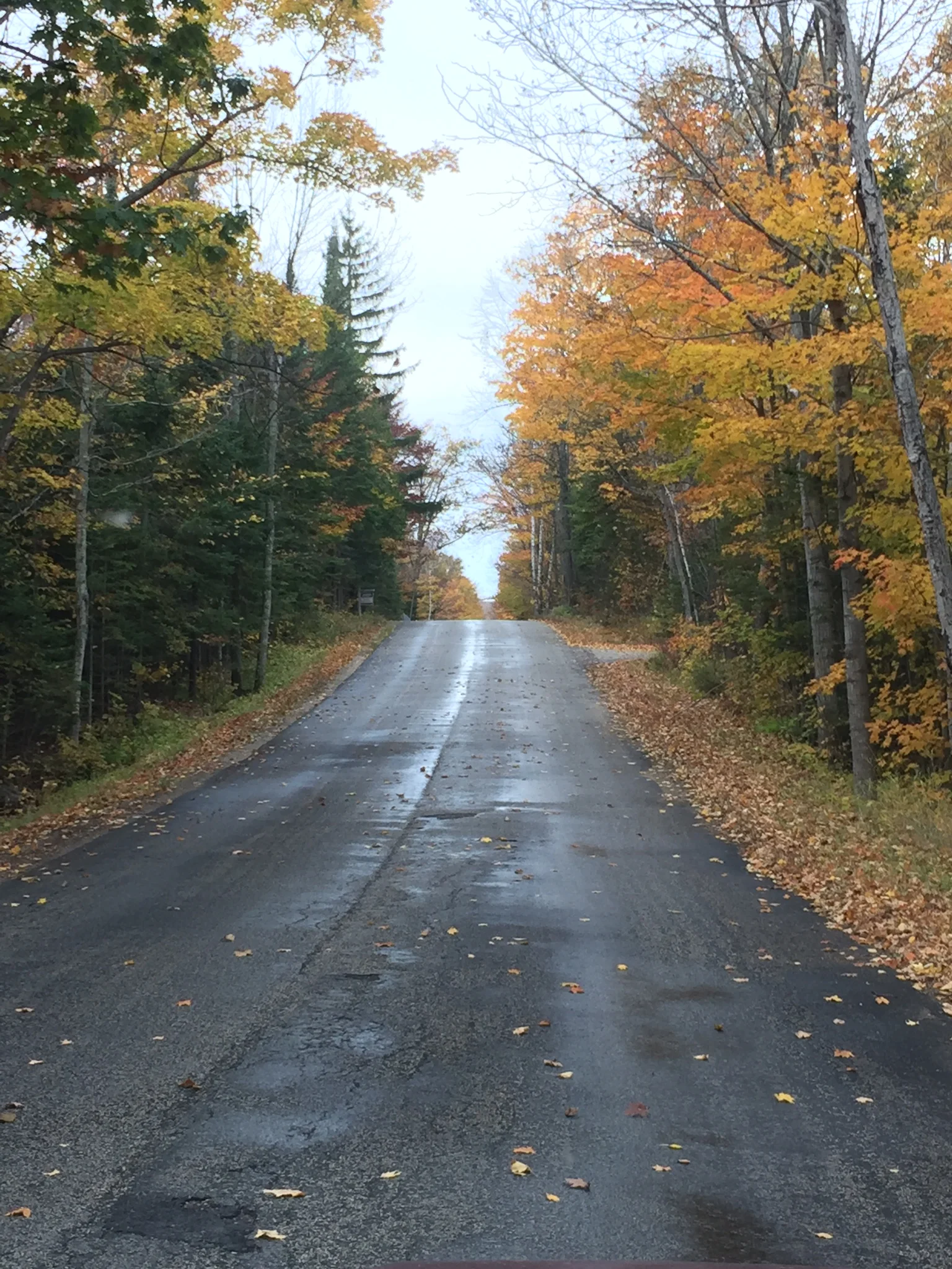 Isle View Road