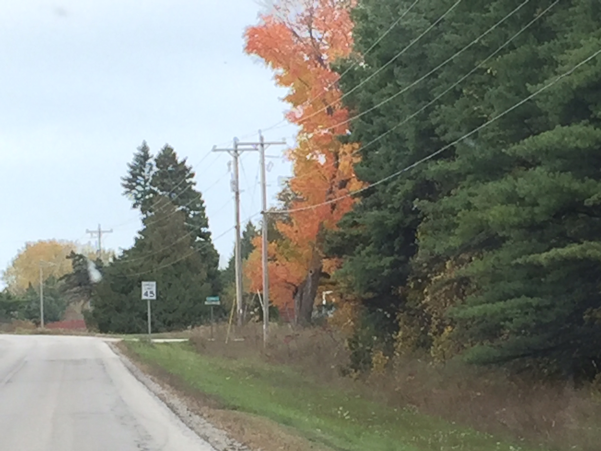 Garrett Bay Road