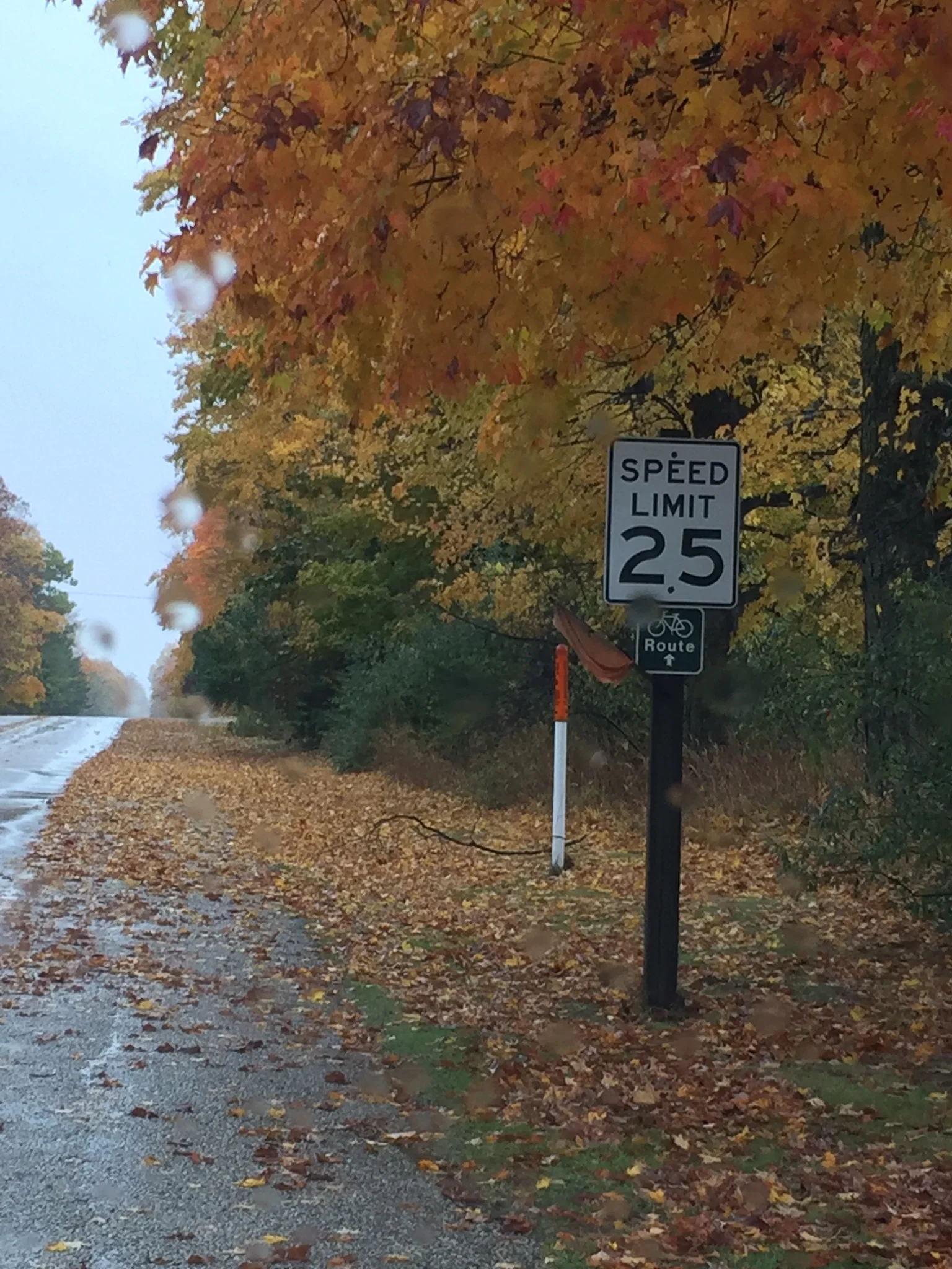 Along Main Road 2