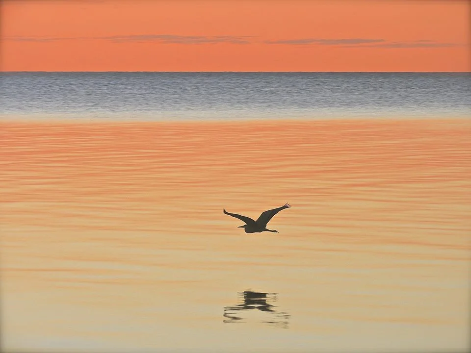 Photo: Susan Ulm