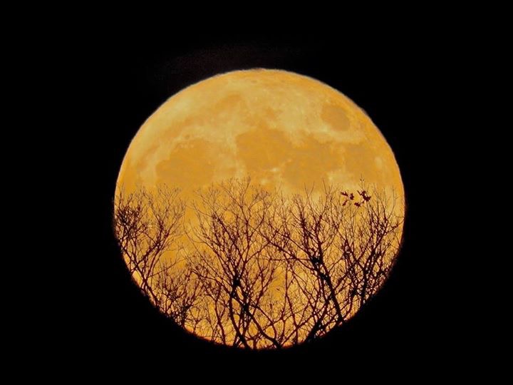 Photo: Susan Ulm
