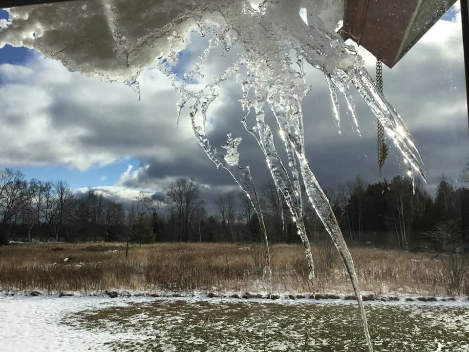 Photo: Judie Yamamoto