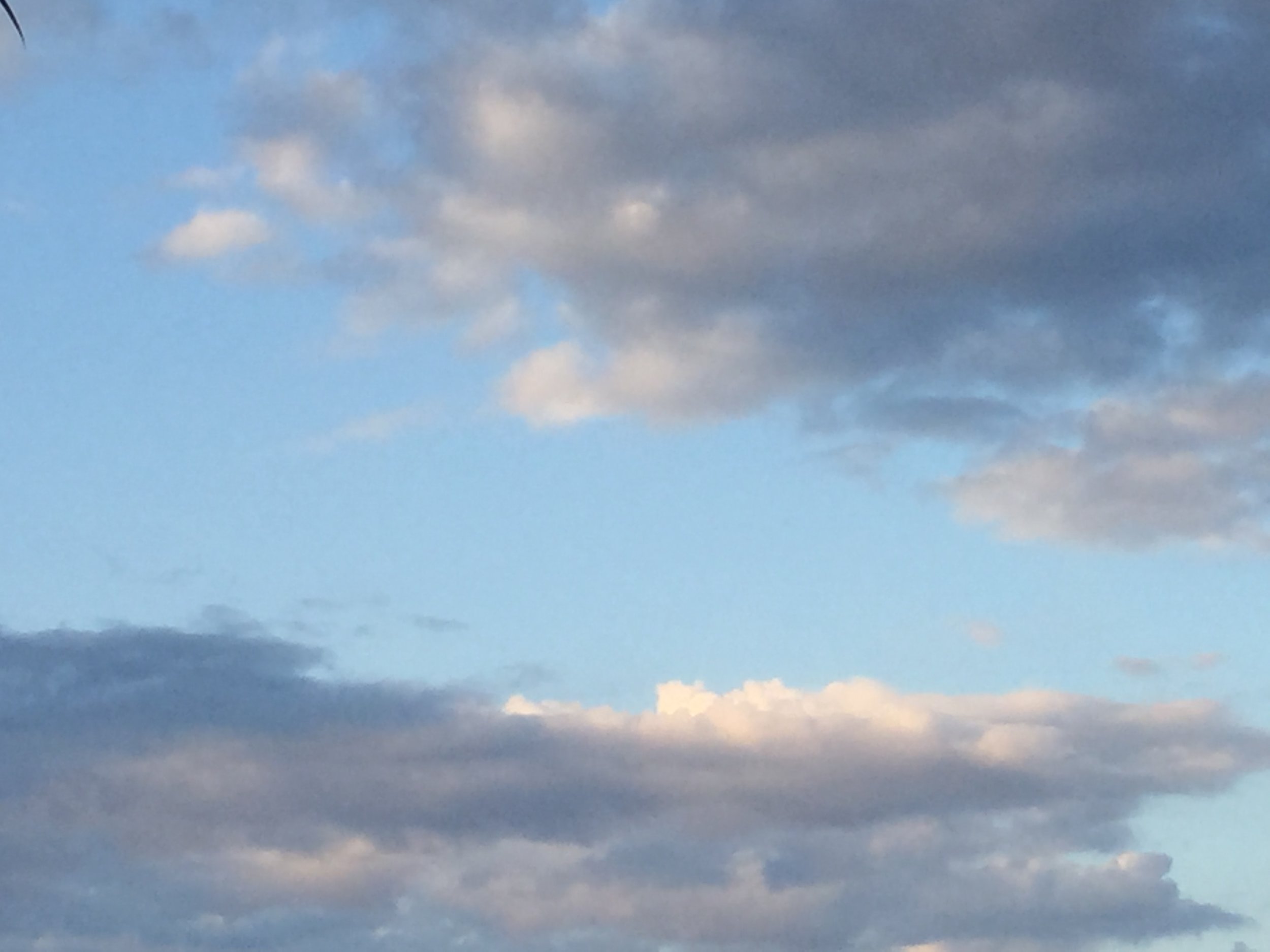 Observations 2 .....