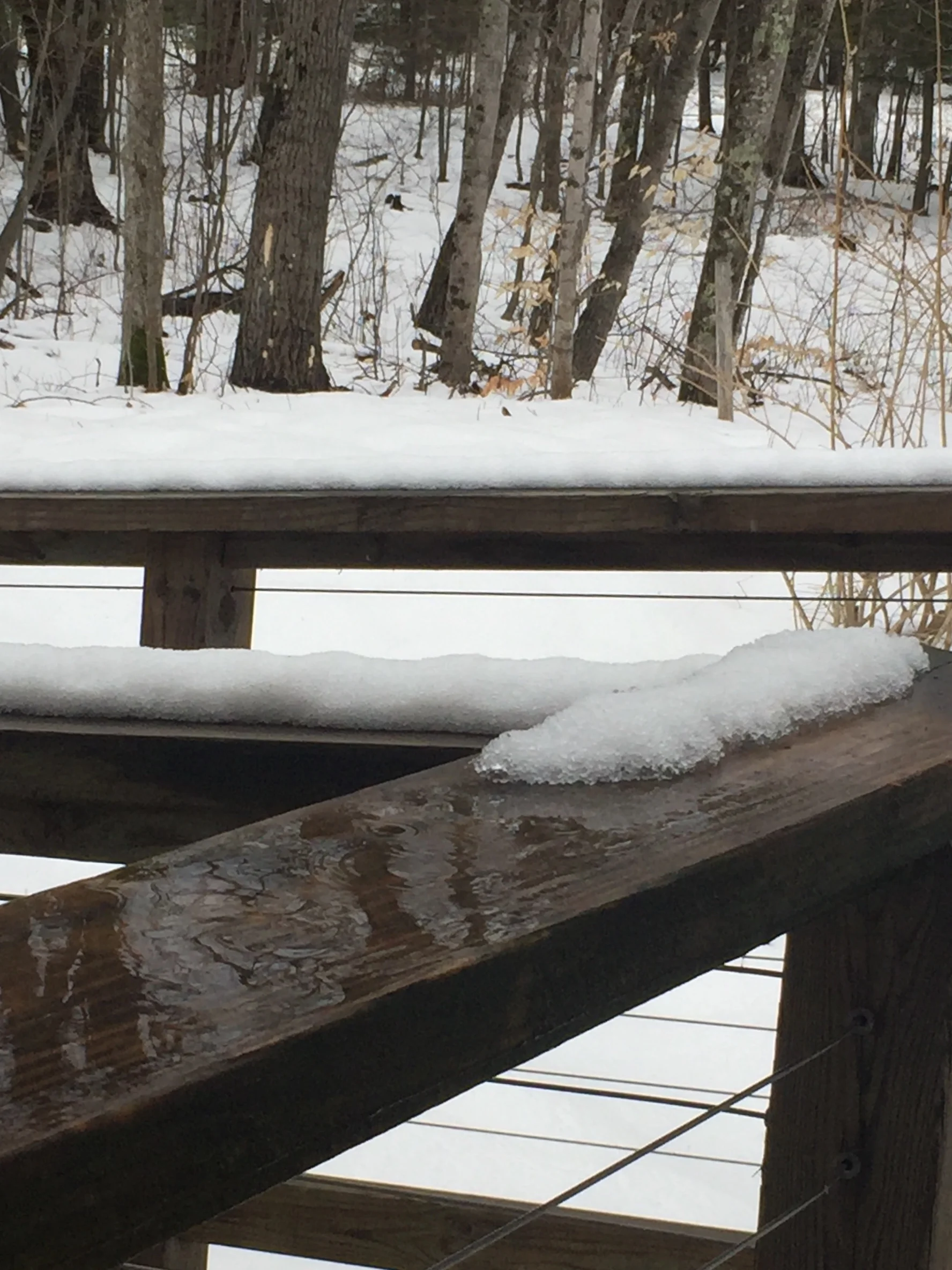 The View - April 12 - As fast as it came, the 9.5” of snow starts to leave.