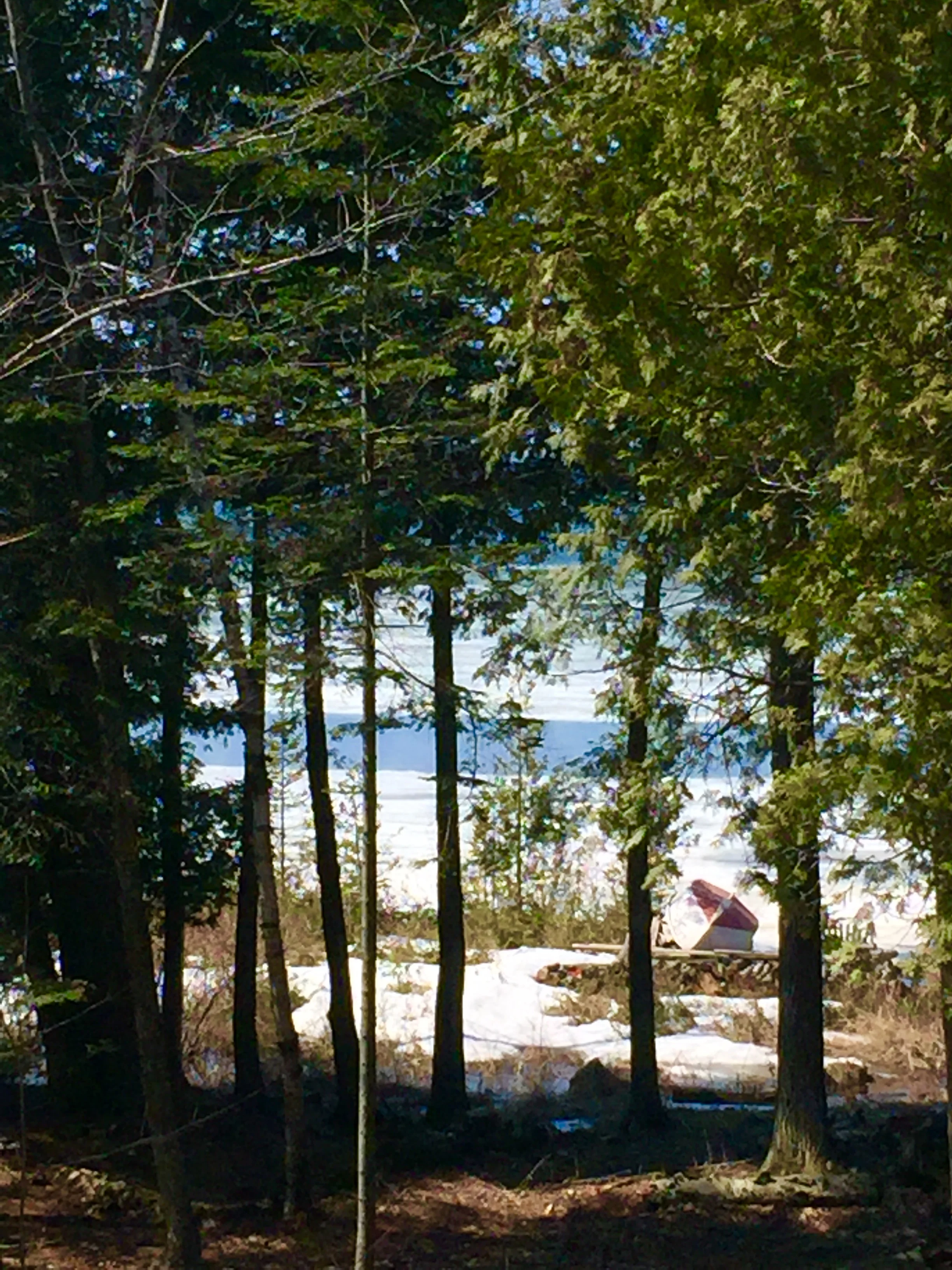 April 16 - The water starts to show.