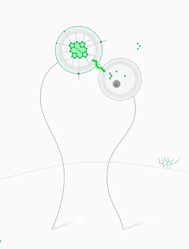 drawSlide_0008.jpg