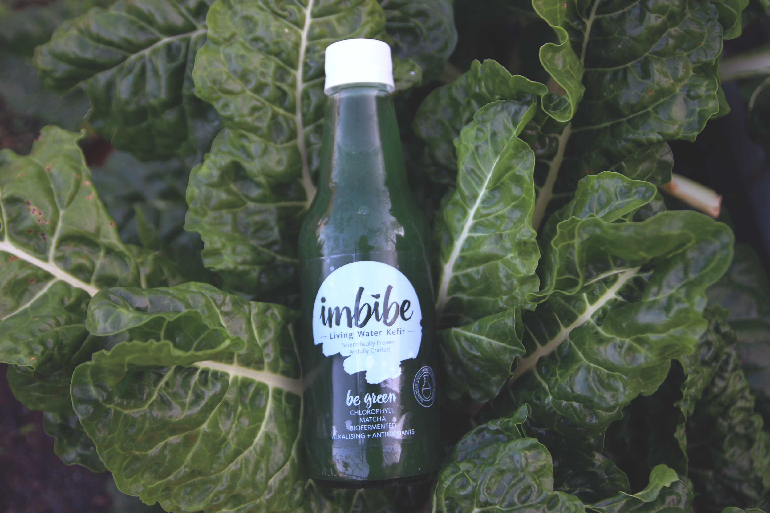 Be Green: This grassy delight is one of the new flavours being introduced to the Imbibe family available in the cafe series. We love the earthy, grassy flavour of this drink. 