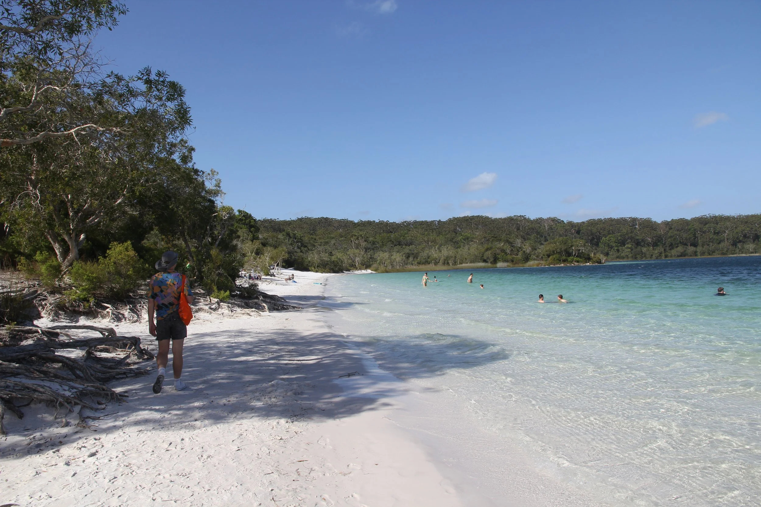 IMG_2063.jpeg
