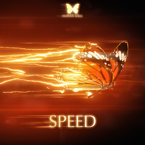 LHS Speed.jpg