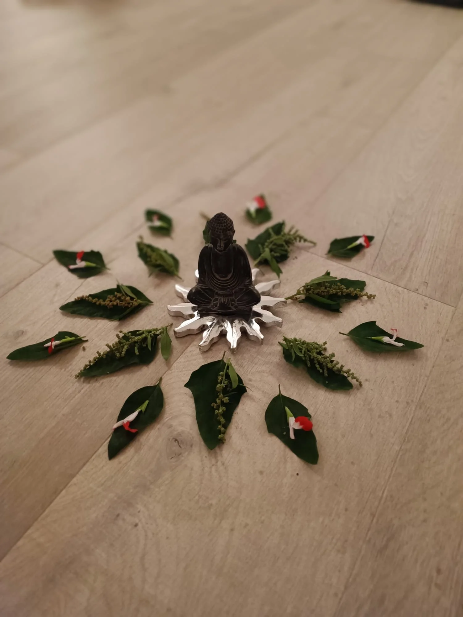 KINDER YOGA AUSBILDUNG HERBST 2023 (AUSGEBUCHT / WARTELISTE) — yogamoves