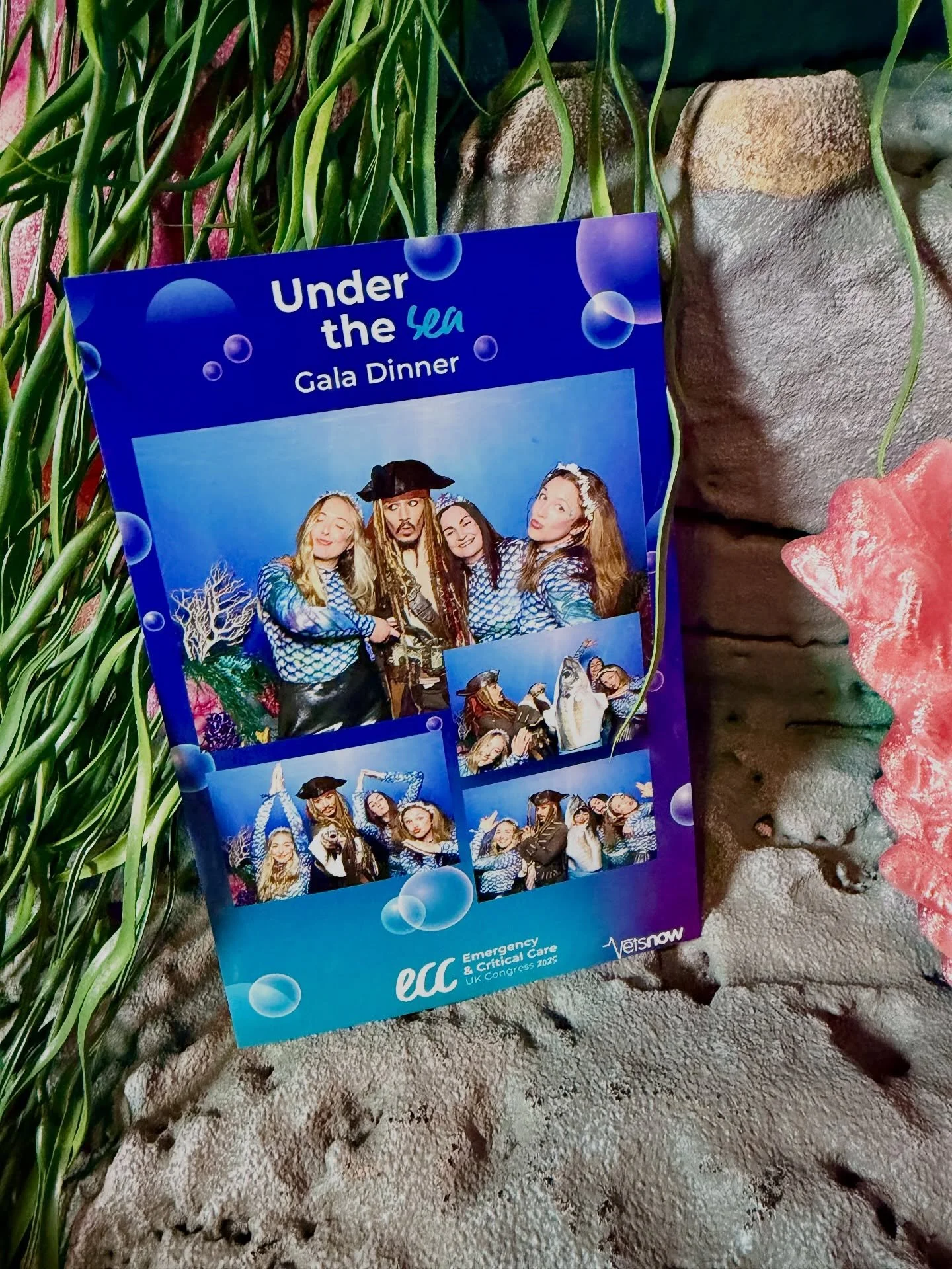 An unforgettable evening beneath the waves 🌊
The Vets Now Under The Sea Gala Dinner at the Royal Armouries, Leeds was a spectacular night of creativity, laughter, and great company &mdash; all beautifully captured in the booth.

Thank you to the tea