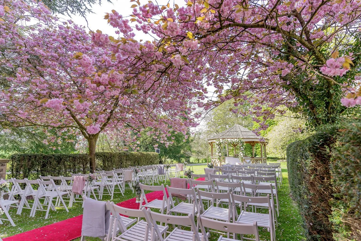 Outdoor wedding ceremony setup under cherry blossom trees at Hazelwood Castle.