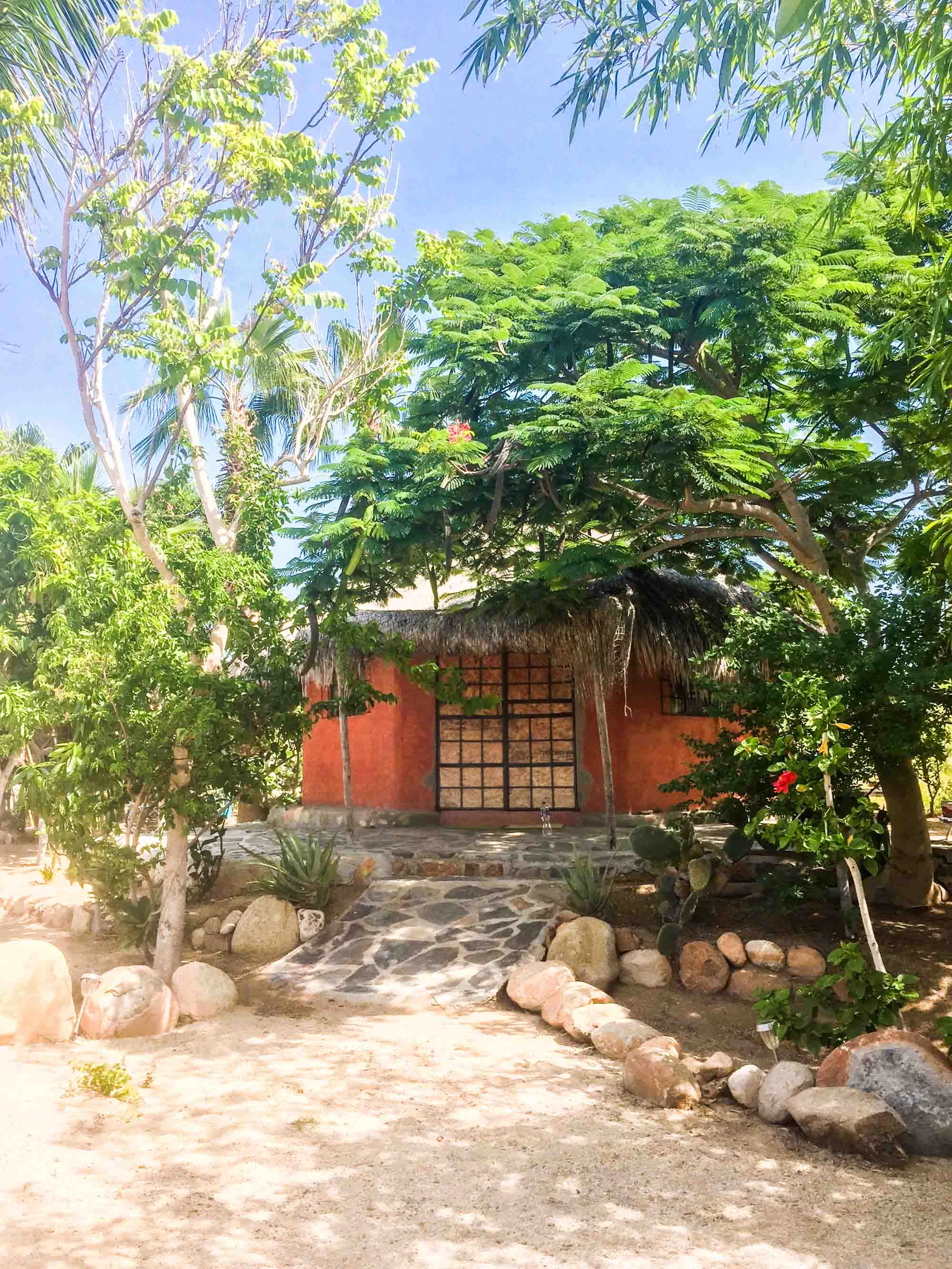An Airbnb in Todos Santos, a remote, private stone hut surrounded by tropical trees, plants and wildlife. Mexico.