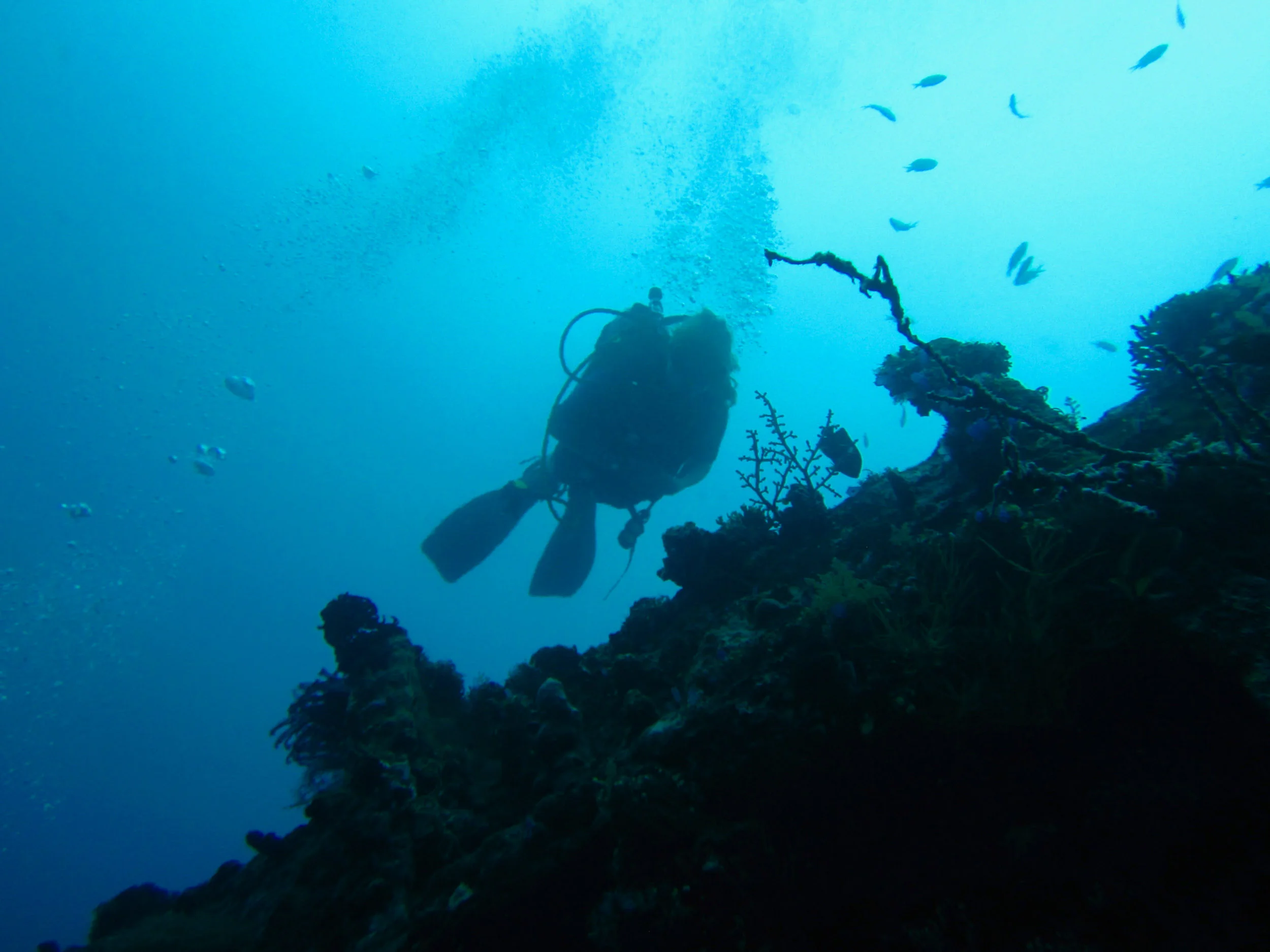 Woman scuba diving, Indonesia.