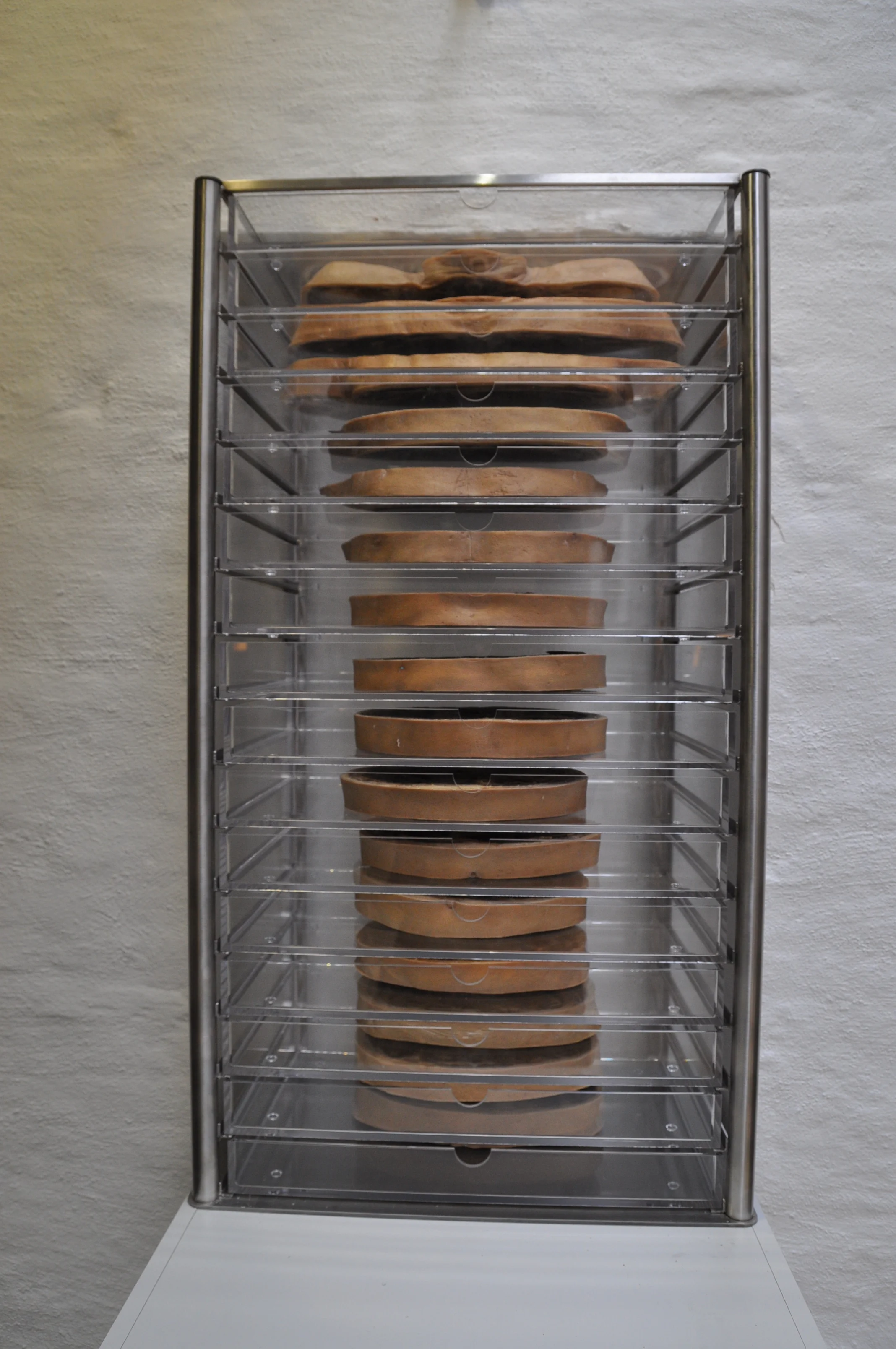 Voorgalerij AM (7).JPG