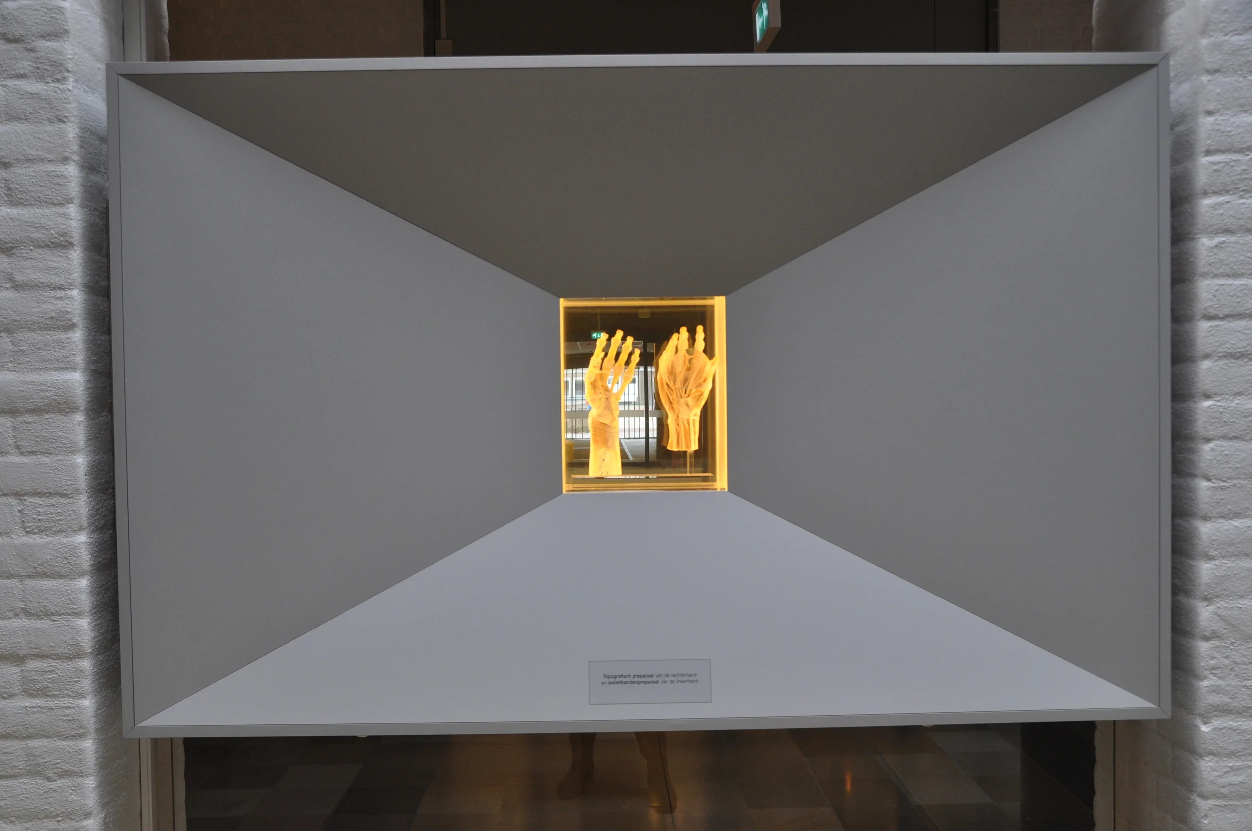 Voorgalerij AM (11).JPG