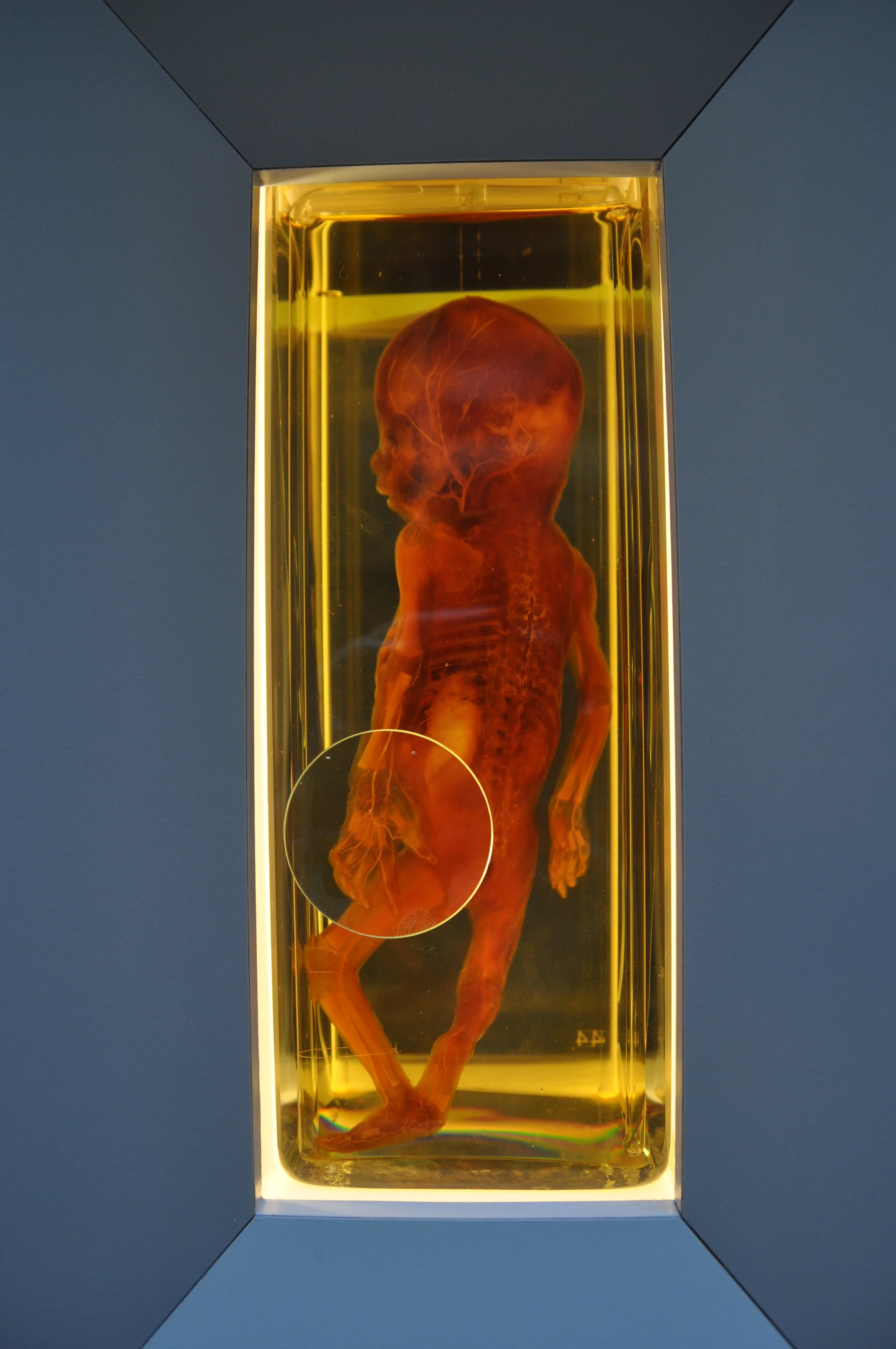 Voorgalerij AM (17).JPG