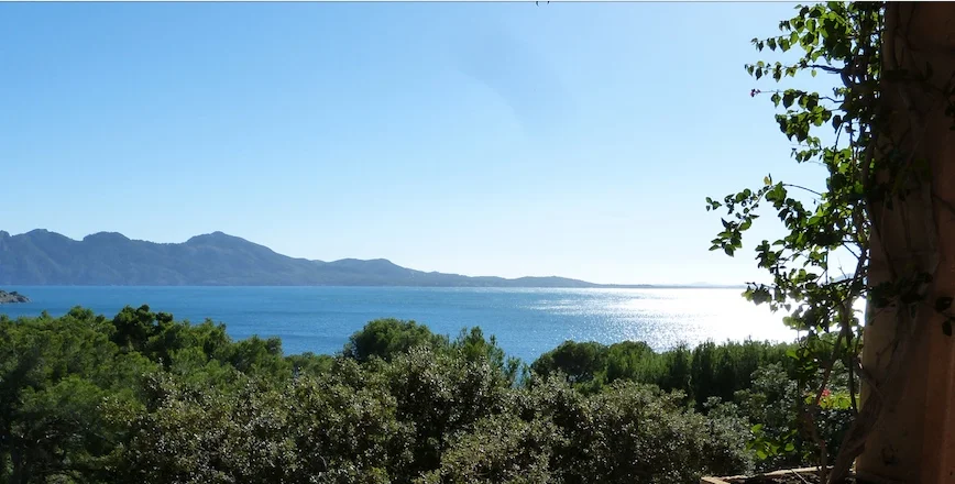 The view from our work place for the next 12 months….lucky us!
