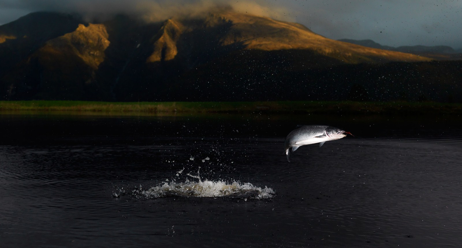 Extraordinary fishing experiences