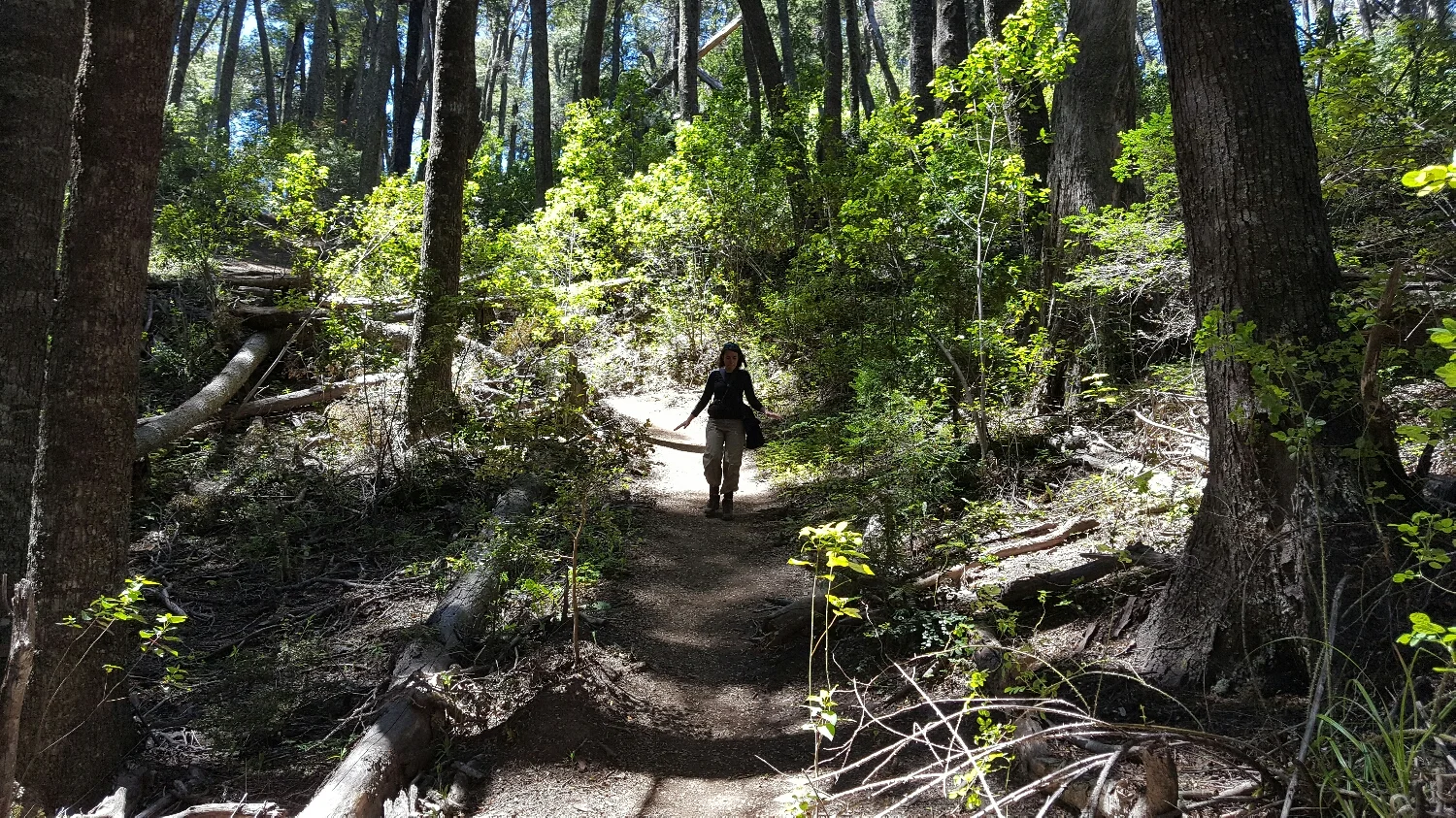 walking up Mount Llao Llao 