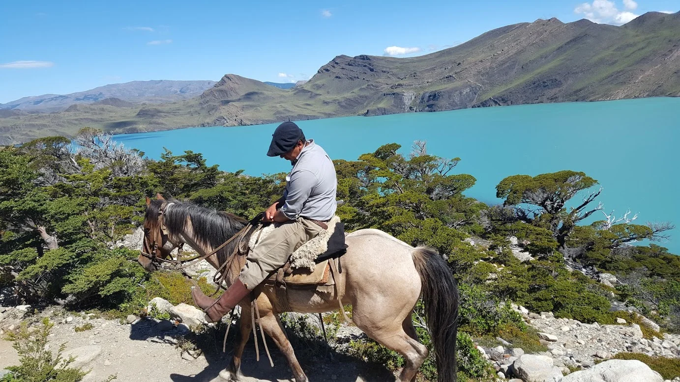 My kingdom for your horse...