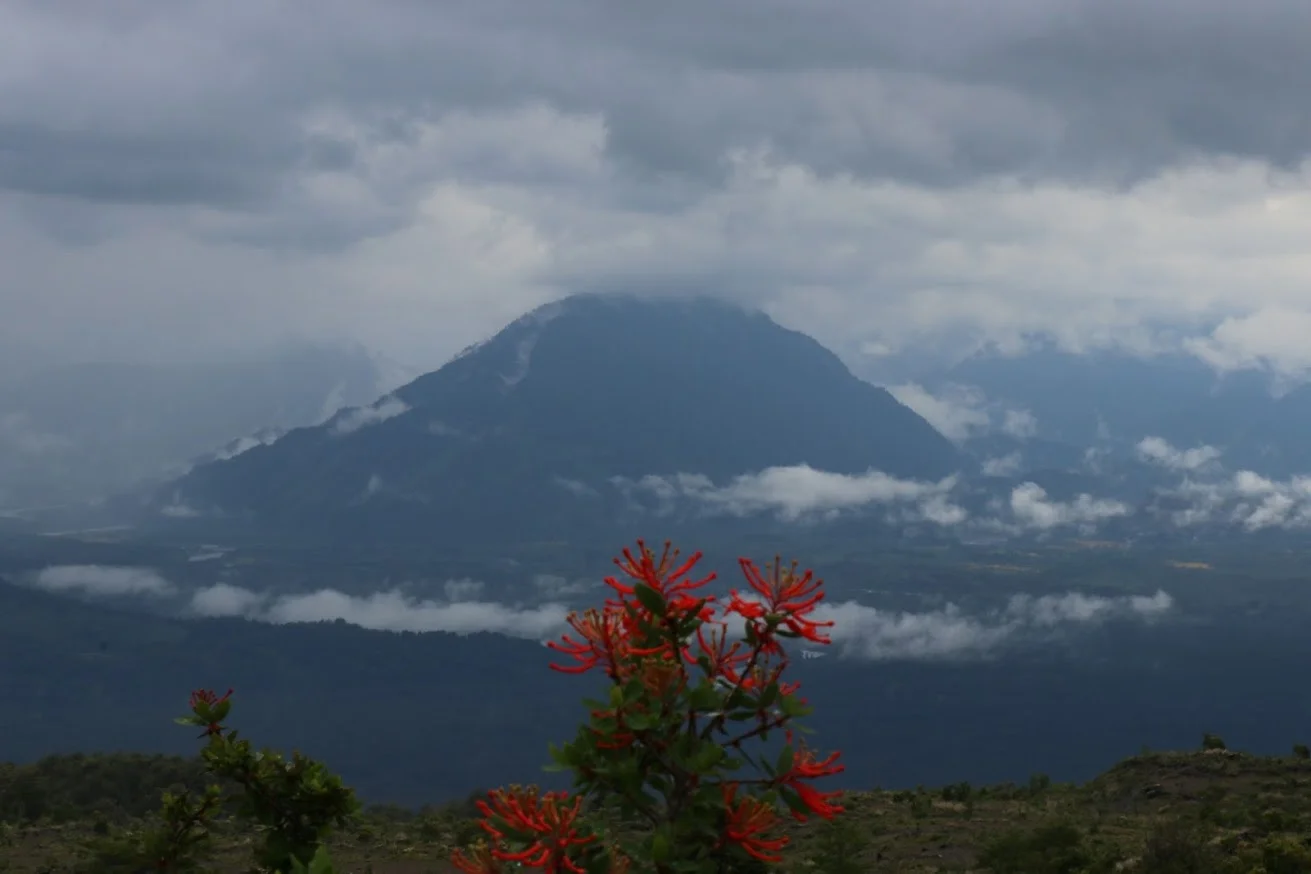 Volcano Calbuco from Volcano Osorno