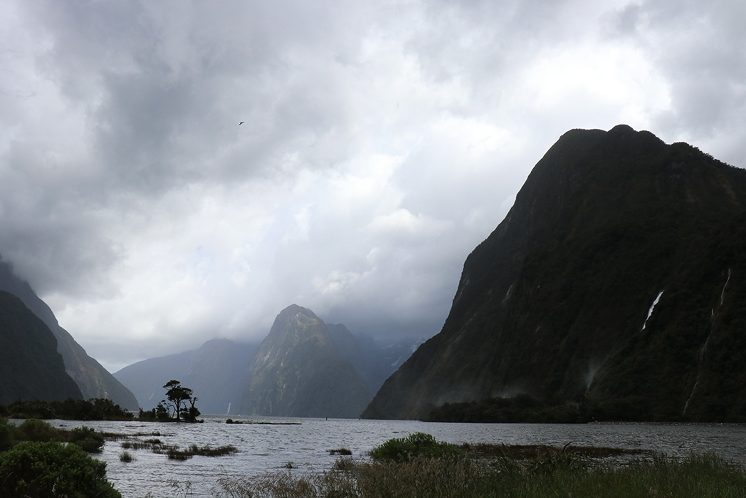 Milford Sound