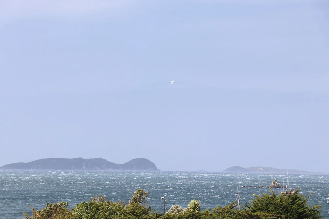 White tops out to sea
