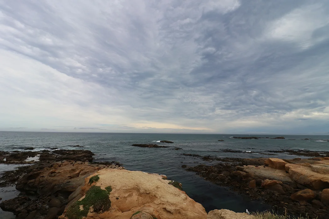 Lovely view at Shag Point