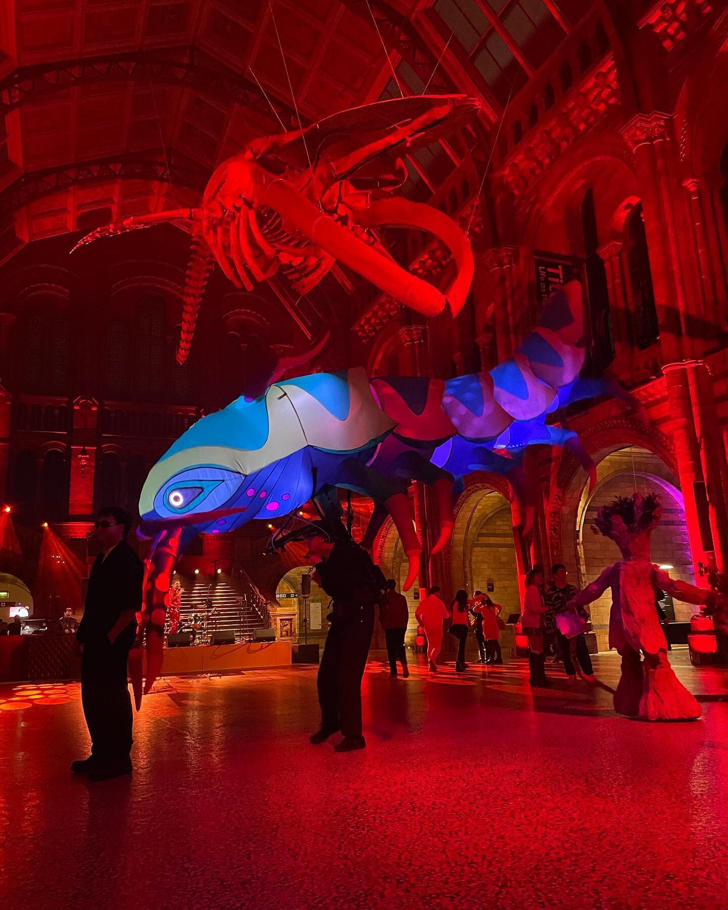 Meeting some ancestors here at the #naturalhistorymuseum for #nye2023 tonight.