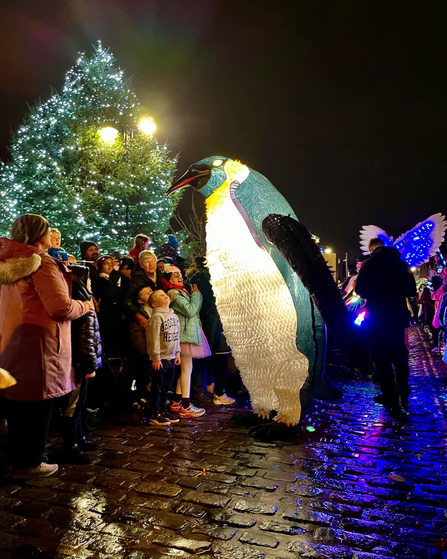 Blizzard is preening his feathers ready for the winter season to come. Book now for your winter festival and Christmas switch on events. 

#christmaslightswitchon #christmastime #christmascountdown #winterfestival #lightfestival #illuminated #illumin