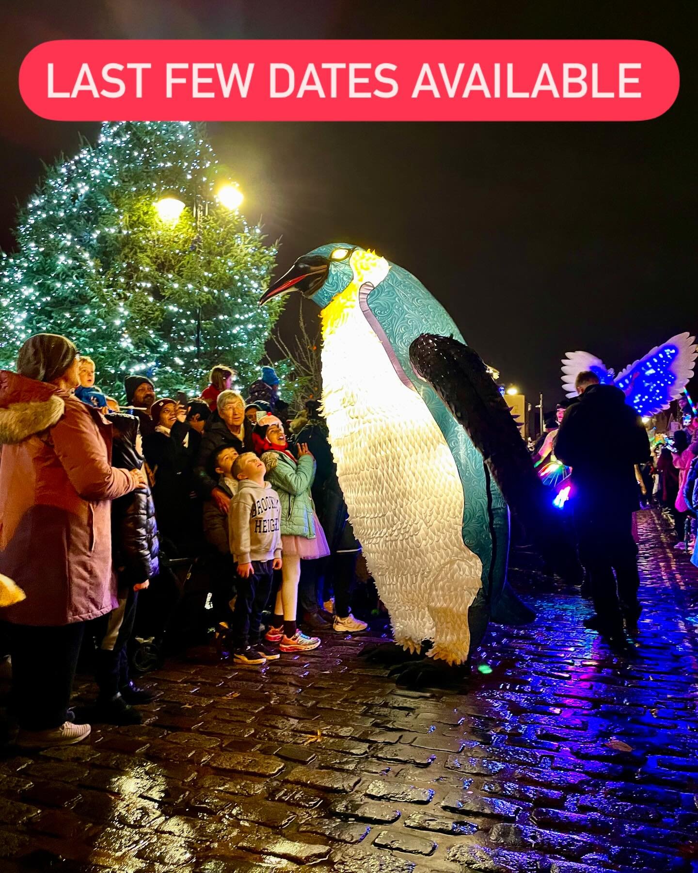Only a few November and December Christmas weekend dates still available for our awesome penguins. Contact us now to secure your booking. 

#christmas #penguins #chrismasentertainment #winterwonderland #winterfestival #walkaboutacts