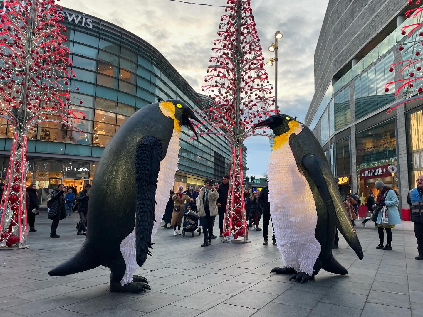 Penguins doing their penguin thing in a slightly nippy Liverpool today. #liverpool #liverpool1shopping #penguins #giantpenguins #winterfestival #christmasacts