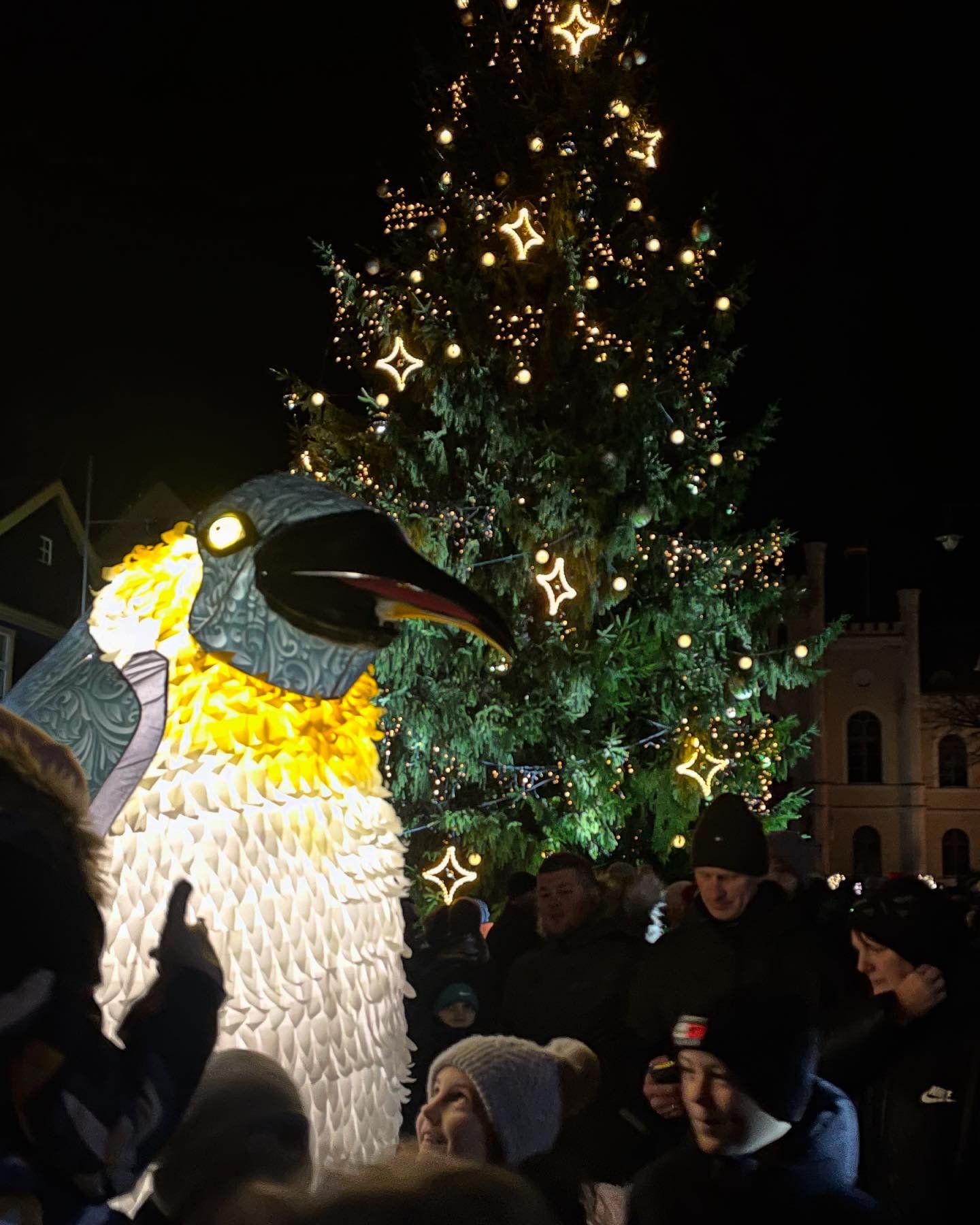 Latvian Christmas tree light up for Blizzard this weekend at the unesco heritage town of Kuldiga