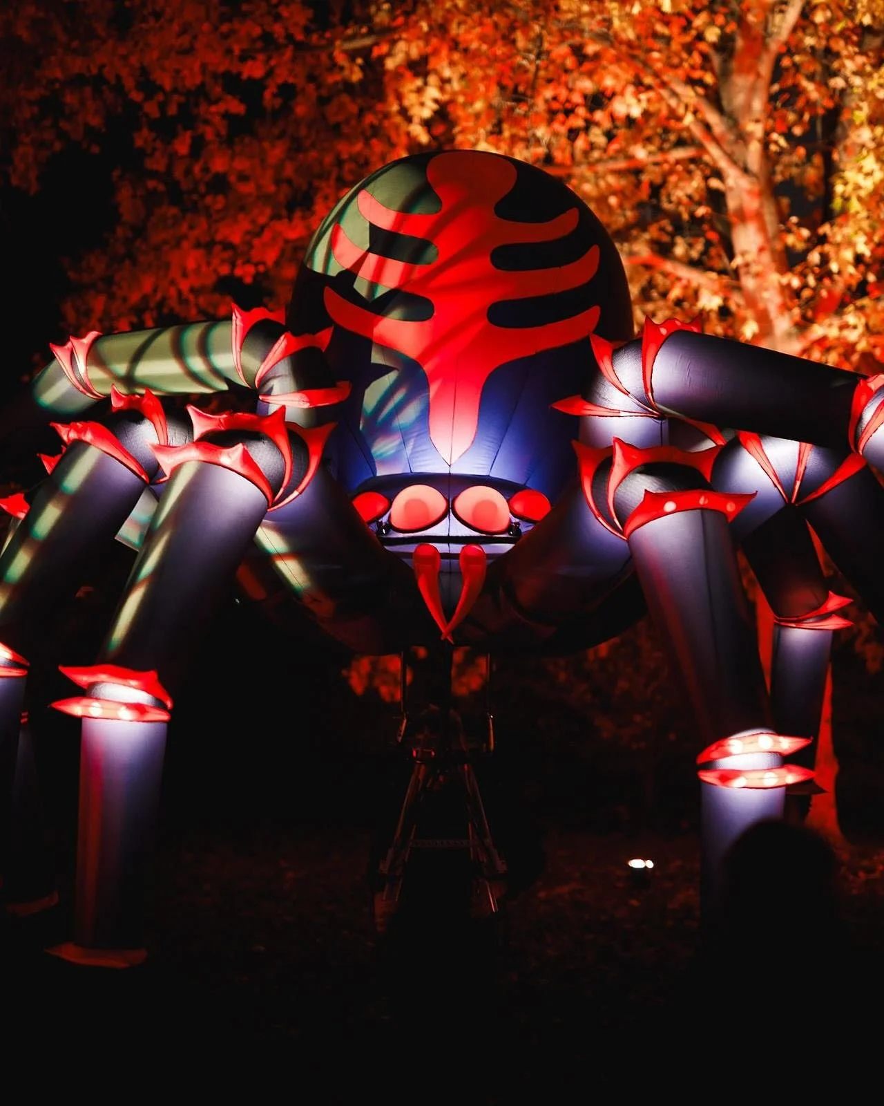 Lovely photo of our spider by @wgillham_headshots performing at @kewgardens for #halloweenatkew this week. 

@rusticusarts @culturecreativeltd #halloween #giantspider #kewgardens