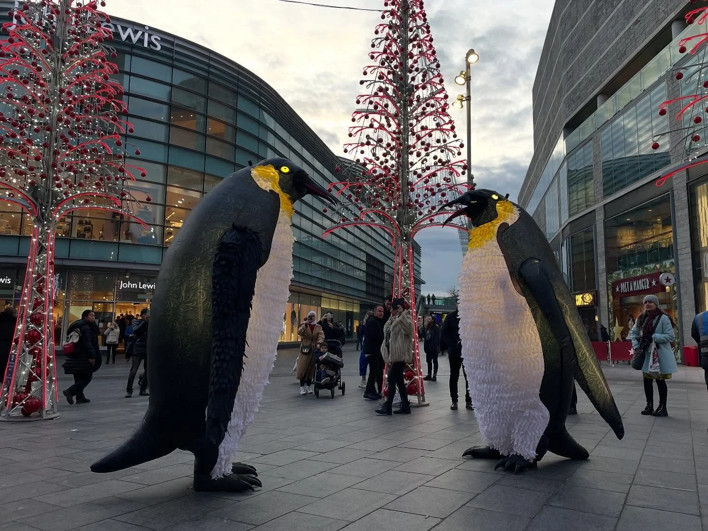 It&rsquo;s penguin time again. Get in touch now to book the last few November and December dates. 

#penguins #christmas #christmasshow #christmaslights #christmasiscoming #switchonevent #christmaslights #winter #winterfestival #lightfestival #illumi