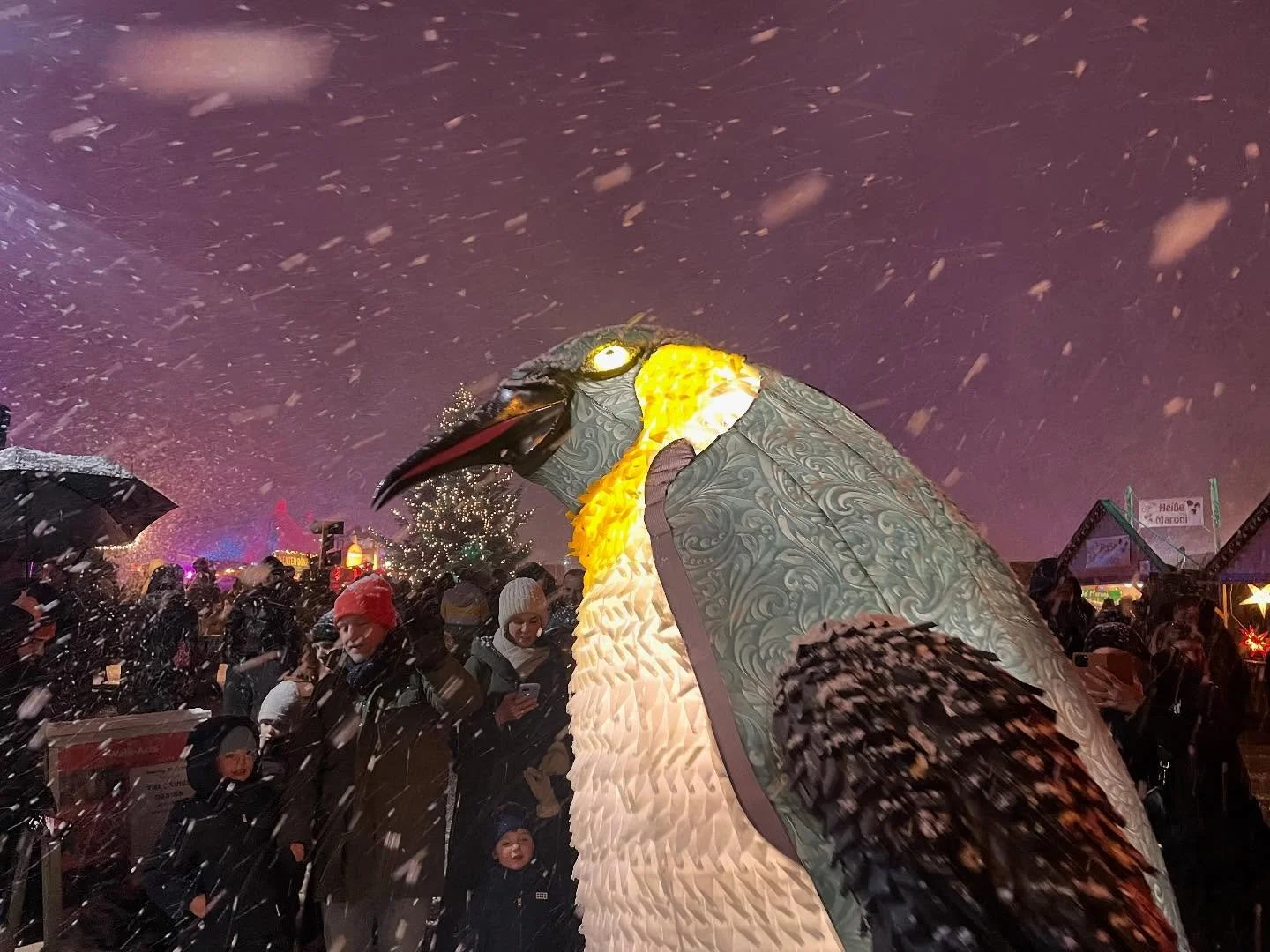 Blizzard&rsquo;s feathers are ruffled and his toes are tapping - he can&rsquo;t wait for Christmas! We&rsquo;re heading out for our first festive foray this weekend!

#christmasparty #festivefun #penguin #blizzardtgepenguin #giantpenguin #penguinpupp