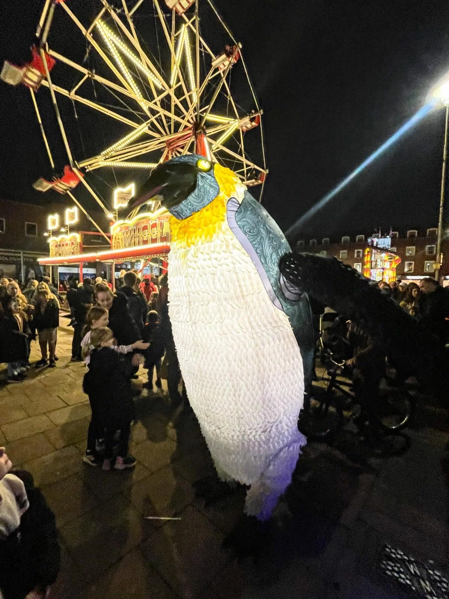 Jolly first outing for Blizzard at the #welwyngardencity #christmasloghtswitchon today. Getting in early with a flurry of feathers and many a photo opportunity.